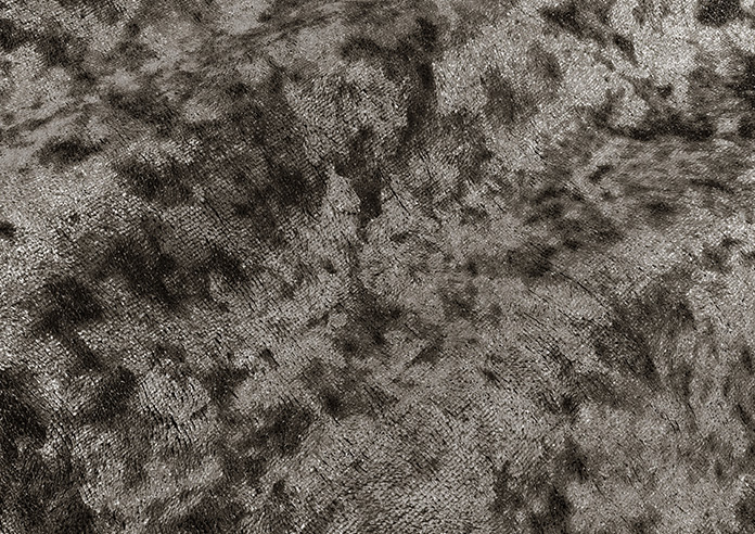 Crushed Velvet, Champagne - Made to Measure Curtains - Image 4